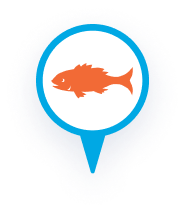 Captain D's Seafood