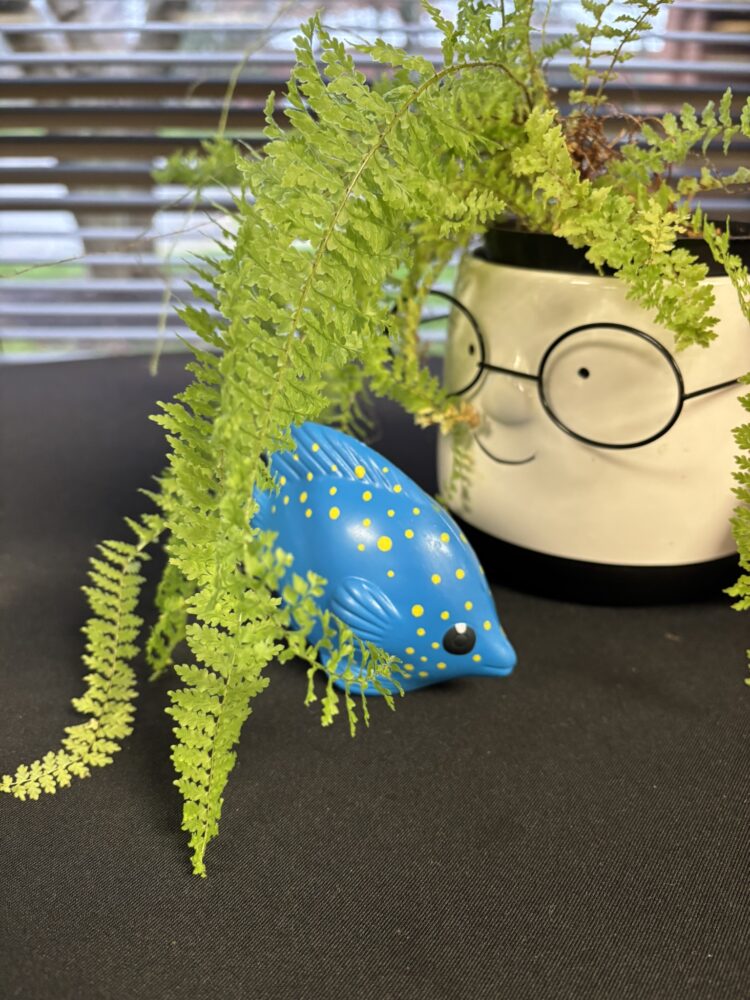 Squish fish with a fern plant.