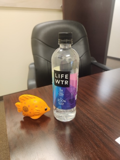 Squish fish next to a bottle of water.